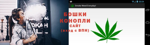 ПСИЛОЦИБИНОВЫЕ ГРИБЫ Лабытнанги