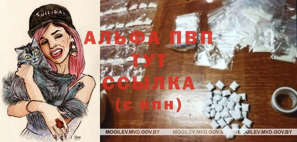ПСИЛОЦИБИНОВЫЕ ГРИБЫ Лабытнанги
