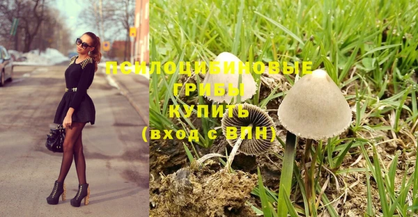 герыч Кулебаки