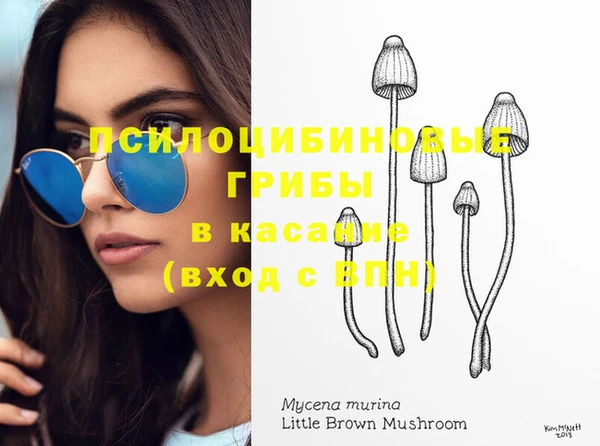 МДМА Лагань